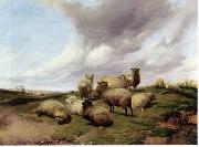 unknow artist Sheep 146 oil on canvas